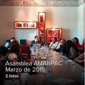 Asamblea 2015 03