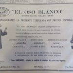 56-oso-blanco