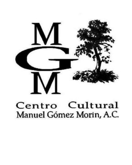 centro cultural manuel gomez morin 260