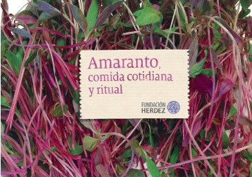 Amaranto, comida cotidiana y ritual